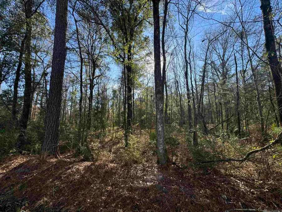 Lot 5-A Joe Lee Rd, Walker, LA 70785 - Image #2