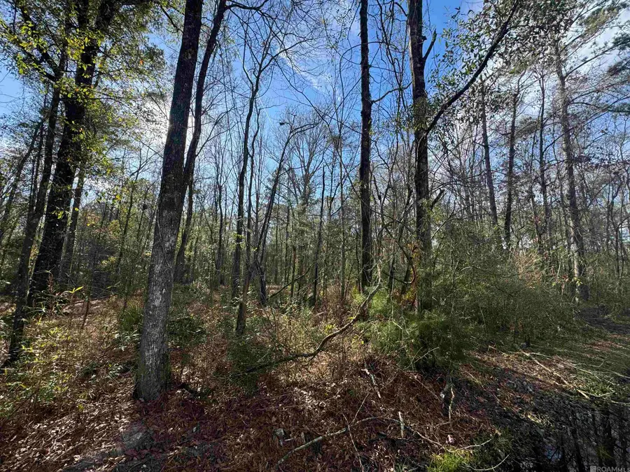 Lot 5-A Joe Lee Rd, Walker, LA 70785 - Image #3