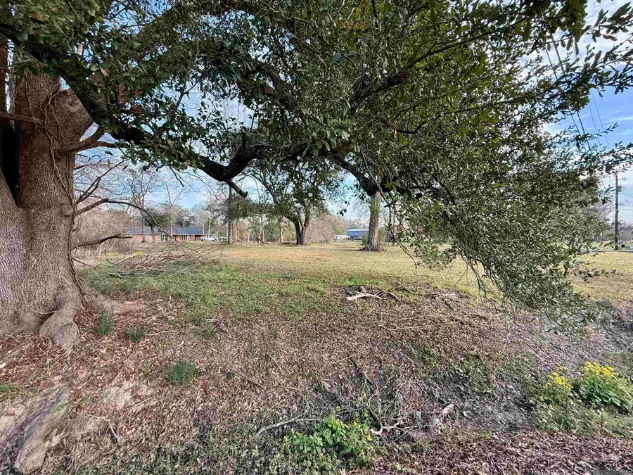 1.14 Acres Savoy Rd, Saint Amant, LA 70774 - Image #2