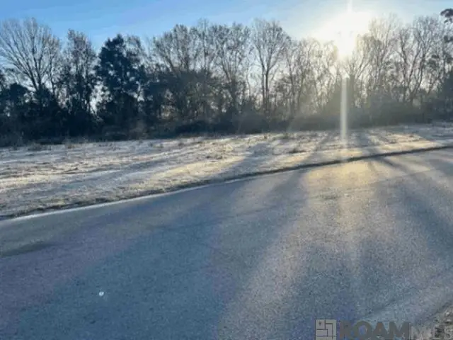 1450 Marque Ann Dr, Baton Rouge, LA 70815 - #3