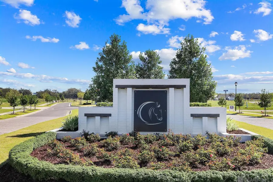 4463 Camargue Avenue, Baton Rouge, LA 70820 - Image #3