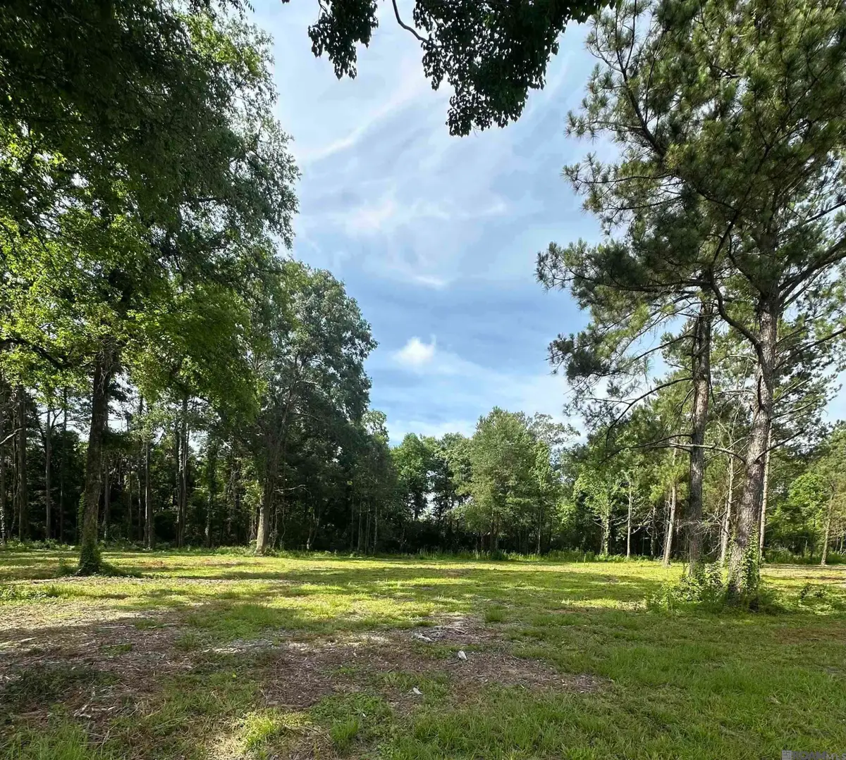 Tract B La Hwy 16, Denham Springs, LA 70706 - #1