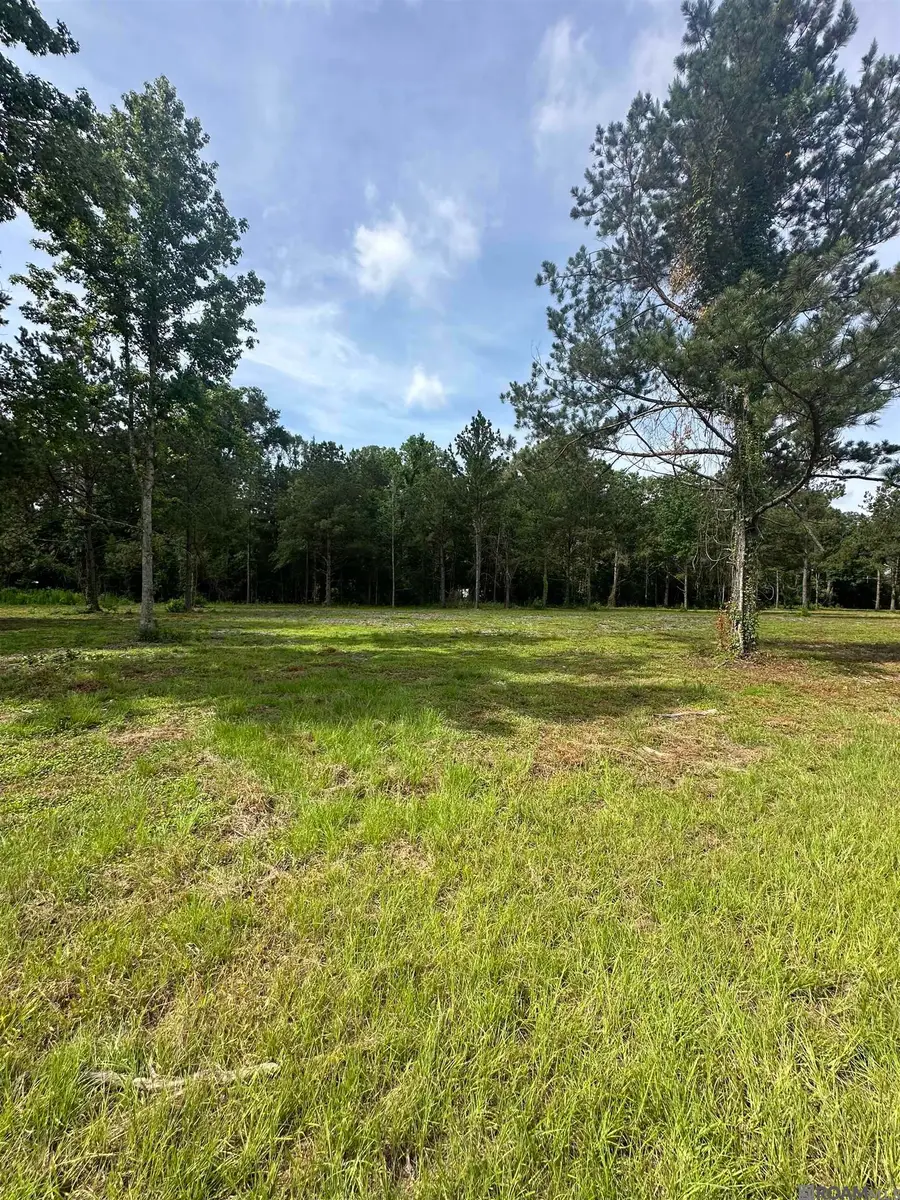Tract B La Hwy 16, Denham Springs, LA 70706 - #2