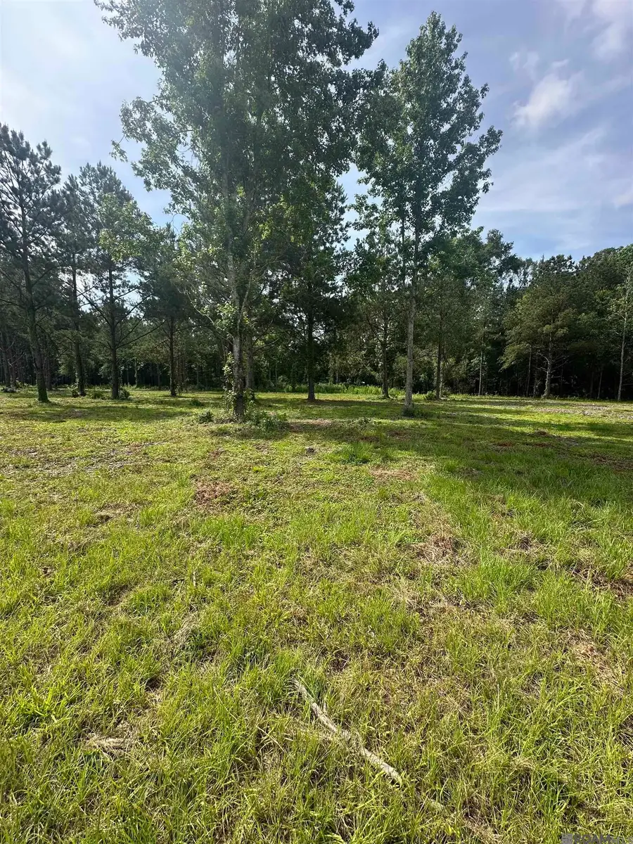 Tract B La Hwy 16, Denham Springs, LA 70706 - #3