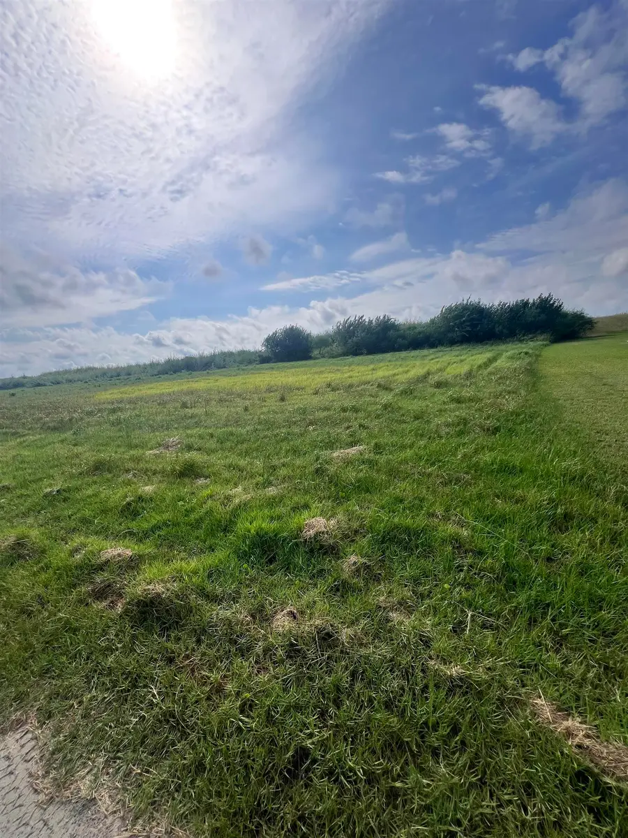 B3 Highway 1, Grand Isle, LA 70358 - #3