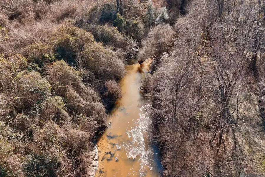 6203 La Hwy 422, Norwood, LA 70761 - #2