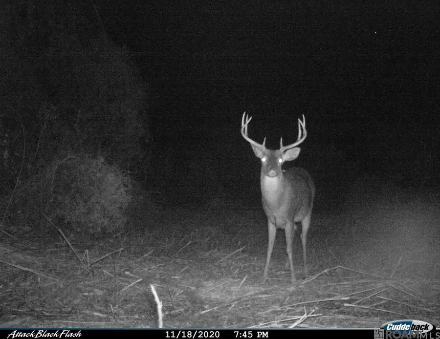 26 Cat Island Rd, Saint Francisville, LA 70775 - Image #3