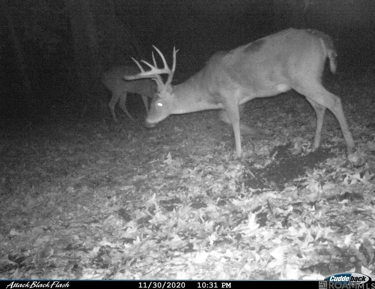 27 Cat Island Rd, Saint Francisville, LA 70775 - Image #1