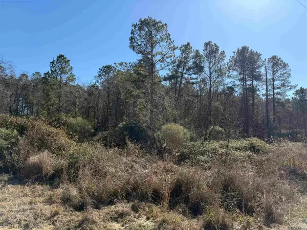 Lot 5-D Texas St, Livingston, LA 70754
