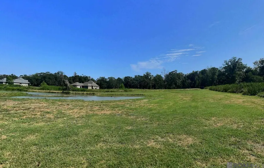 8557 New River Rd, Saint Amant, LA 70774 - Image #3