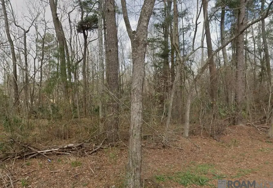 8 Tabony Ct, Walker, LA 70785 - #2