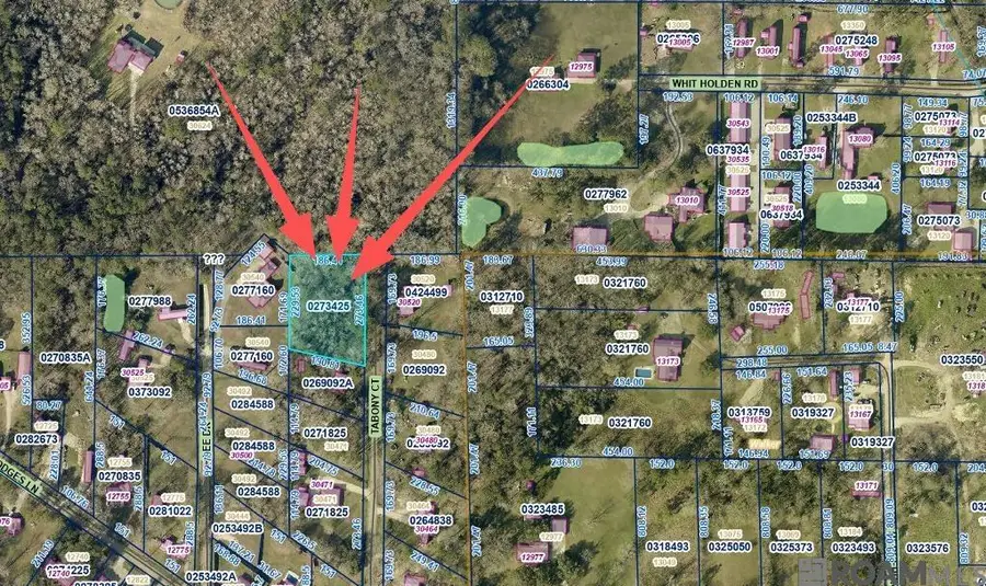 8 Tabony Ct, Walker, LA 70785 - #3