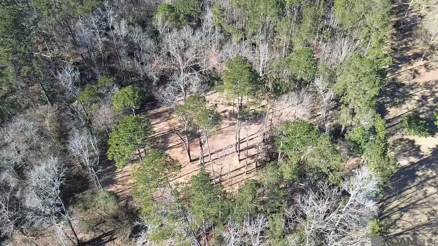 Tract C Mcclendon Ln, Amite, LA 70422 - Image #2