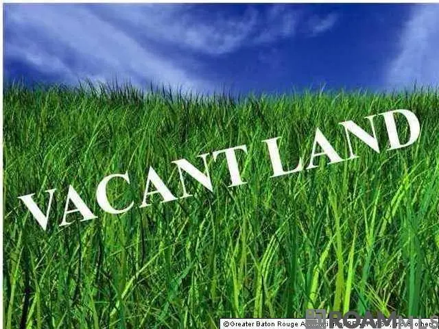 18228-A Bill Morgan Rd, Prairieville, LA 70769 - Image #1