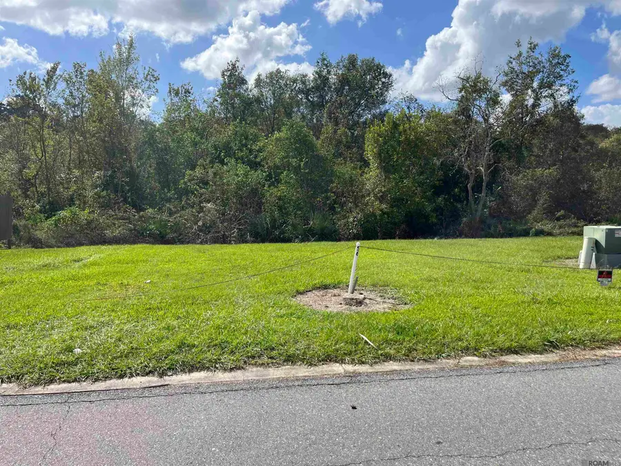 Lot 56 River Highlands, Saint Amant, LA 70774 - #2