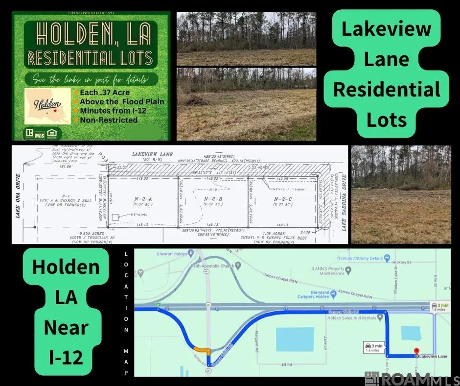 TBD Lot N-2-A Lakeview Ln, Holden, LA 70744 - #1