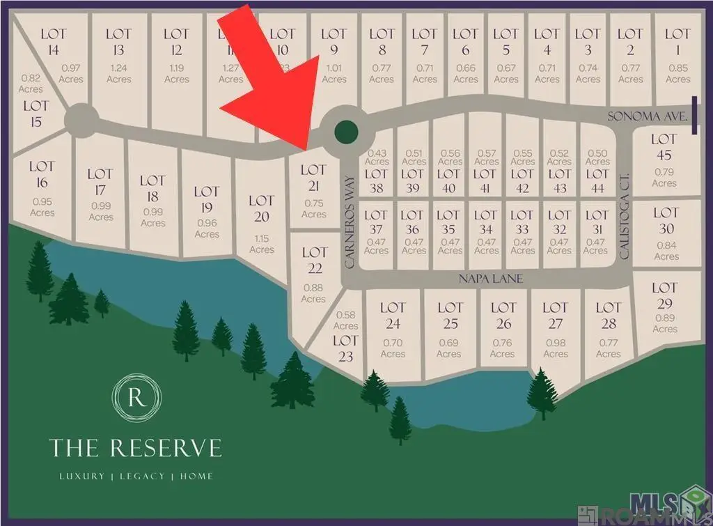 12856 Sonoma Ave, Zachary, LA 70791 - #1