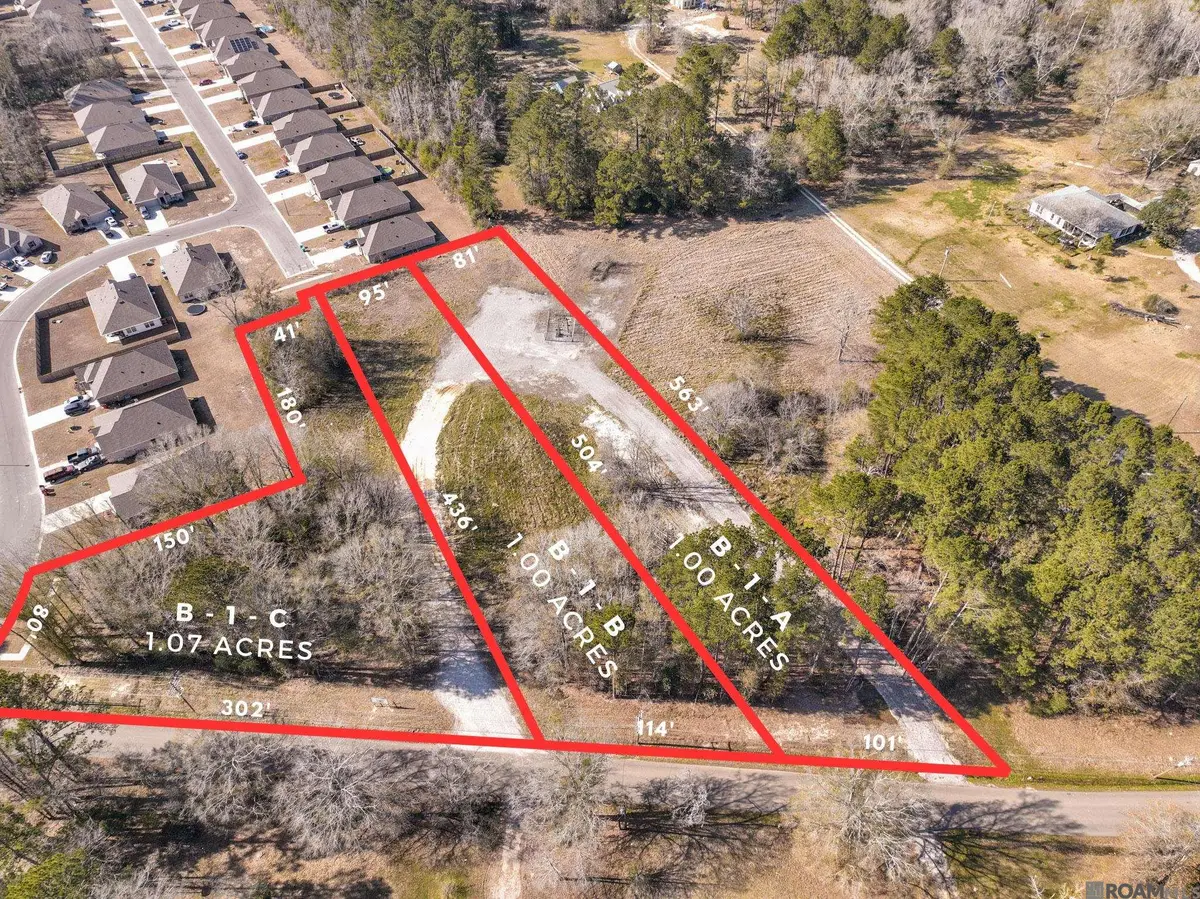 Lot B-1-A Burgess Rd, Denham Springs, LA 70726 - #1