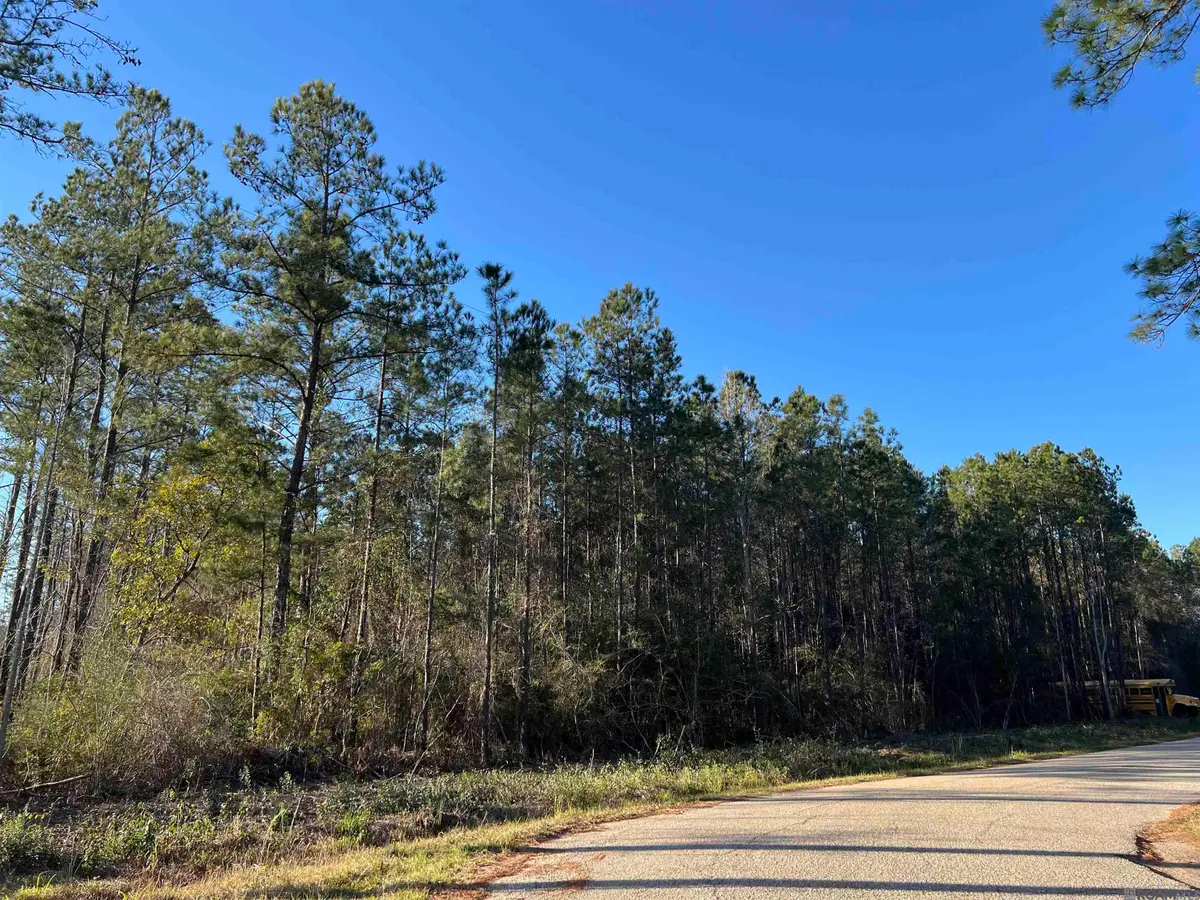 TBA Vista St, Lacombe, LA 70445 - #1