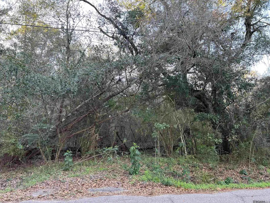 TBA Warrior Dr, Lacombe, LA 70445 - #2