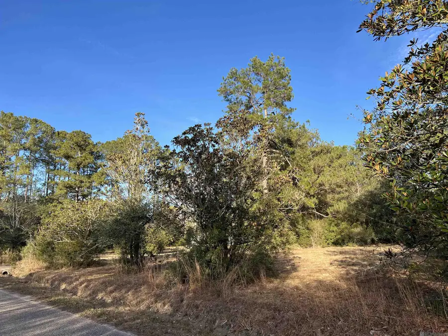 62076 White Dove Drive, Lacombe, LA 70445 - #2