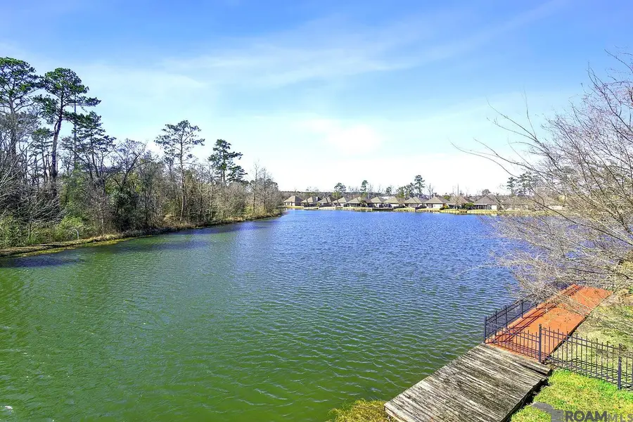 9931 Powell Ln, Denham Springs, LA 70726 - #3