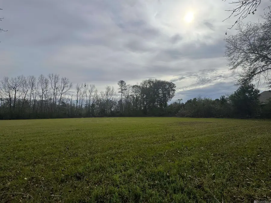 LM-2-A-1-D Ruby Moore Rd, Denham Springs, LA 70706 - #2