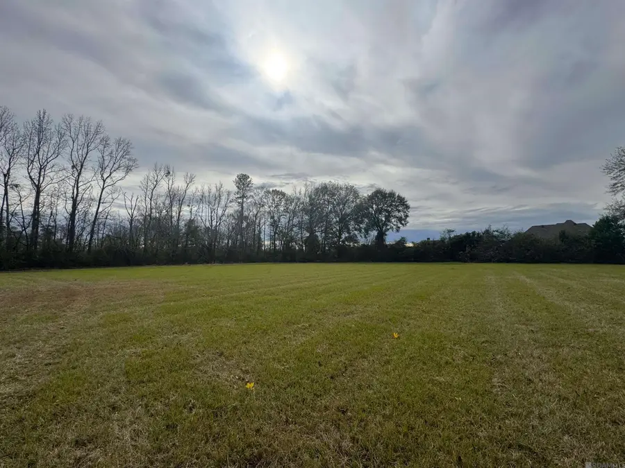 LM-2-A-1-D Ruby Moore Rd, Denham Springs, LA 70706 - #3