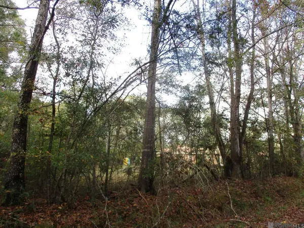 LOT B Perkins Rd, Norwood, LA 70761