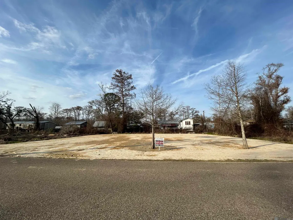 22239 Chinquapin Ave, Maurepas, LA 70449 - #1