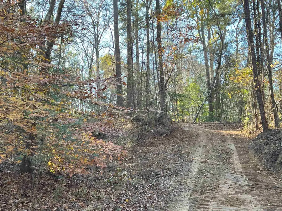TBD (426 Ac.) Tunica Trace, Saint Francisville, LA 70775 - #2