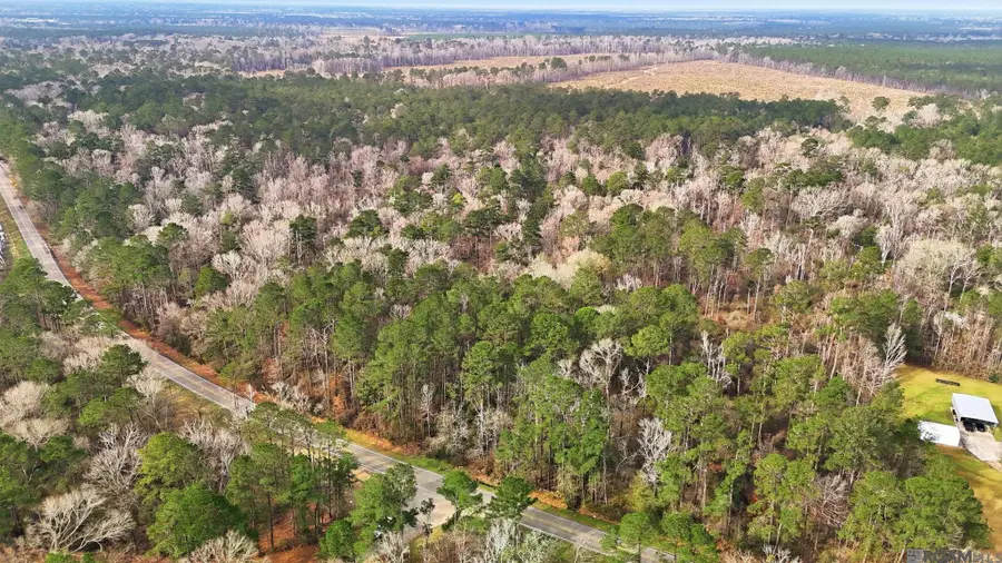 TBD Hwy 449 Highway, Pine Grove, LA 70453 - #3