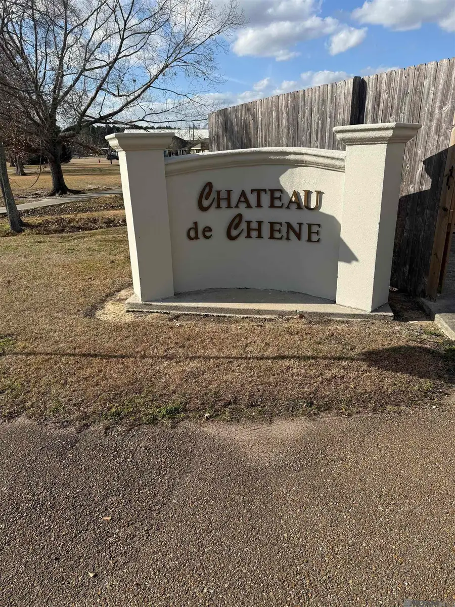 20334 De Chene Dr, Walker, LA 70785 - #2