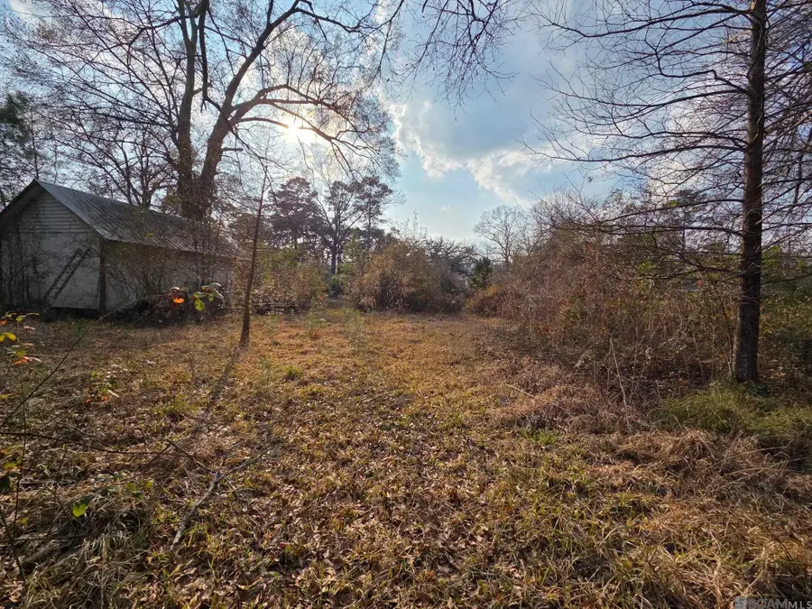 950 Benton Ln, Denham Springs, LA 70726 - #3