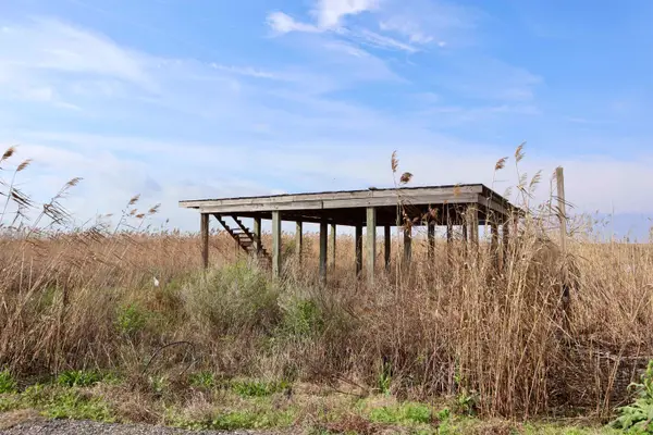 3316 Highway 665, Montegut, LA 70377