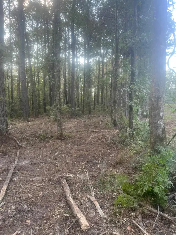 TBD-B2 La Hwy 10, Clinton, LA 70722