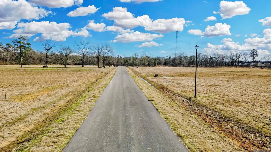 Lot 12 Grandview Drive, Denham Springs, LA 70726 - #3