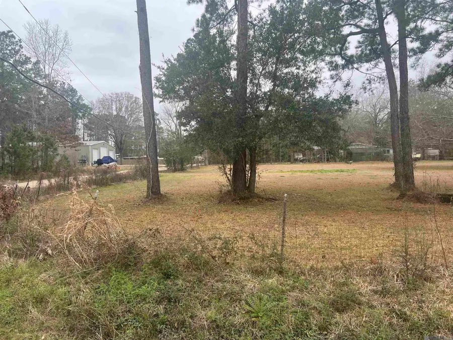 tbd9 Pat's Lane, Springfield, LA 70462 - #2