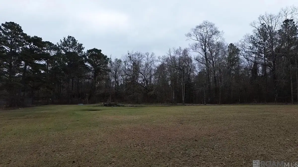 Lot 16-C Cason Rd, Independence, LA 70443 - #1
