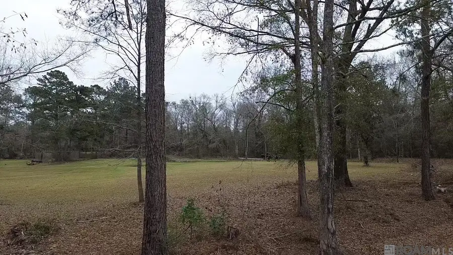 Lot 16-C Cason Rd, Independence, LA 70443 - #2