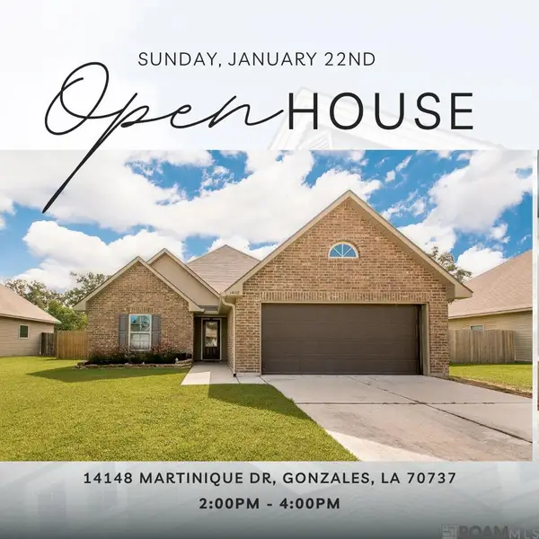 14148 Martinique Dr, Gonzales, LA 70737
