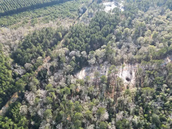 Lot 6 Livingston Farms Lane, Livingston, LA 70754