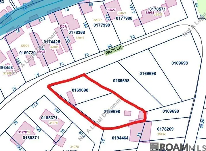 tbd1213 Pat's Lane, Springfield, LA 70462 - #3