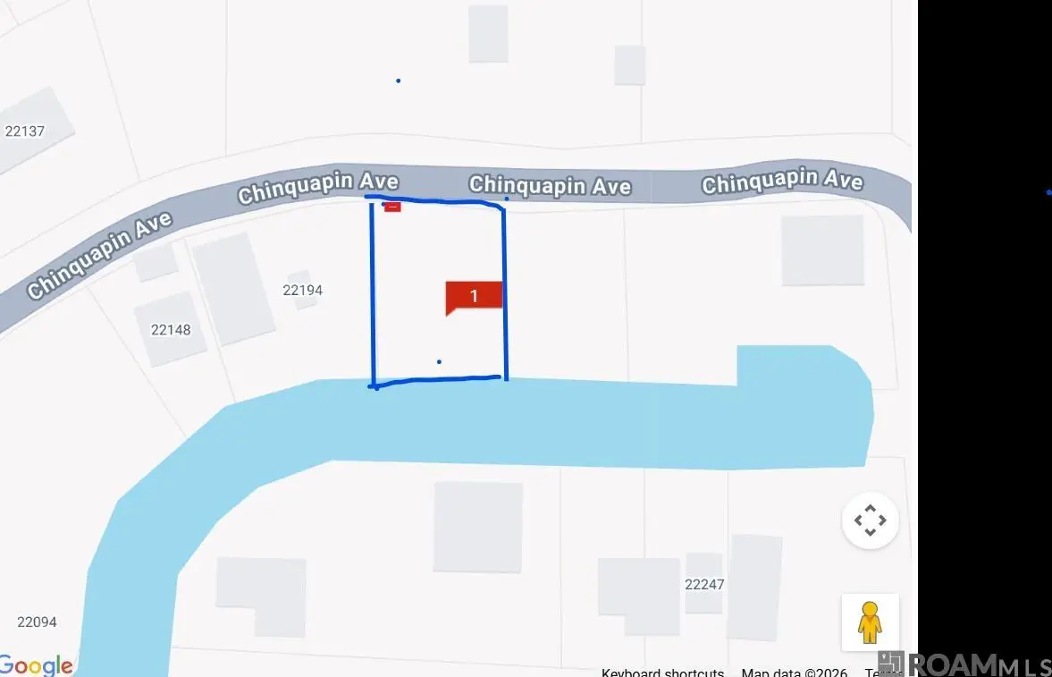 22222 Chinquapin Ave, Maurepas, LA 70449 - #1