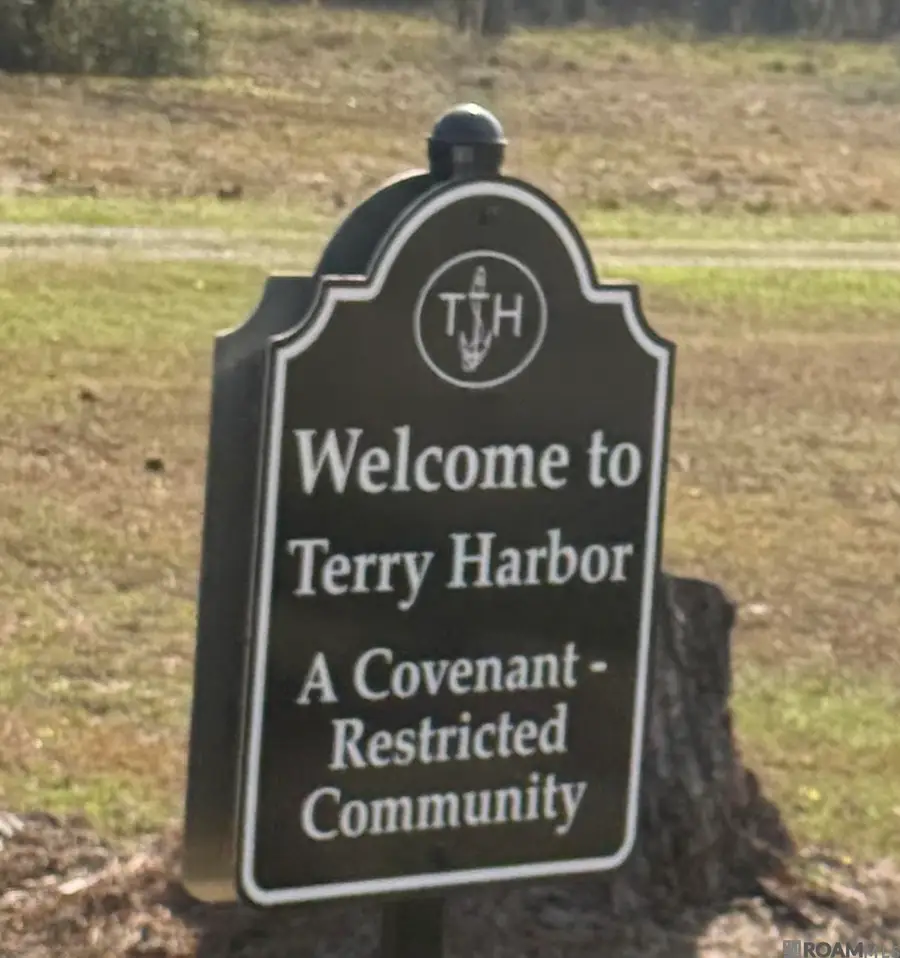 20316 Sophia Noel Dr, Springfield, LA 70462 - #3