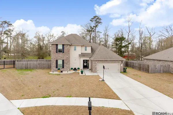 17469 Soaring Flight Dr, Prairieville, LA 70769