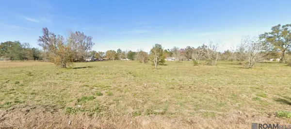 41080 La Hwy 933, Prairieville, LA 70769