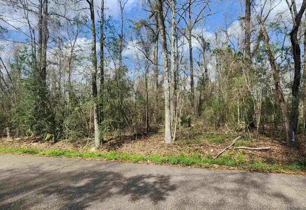 Lot 23-B Hemisphere Ln, Denham Springs, LA 70726