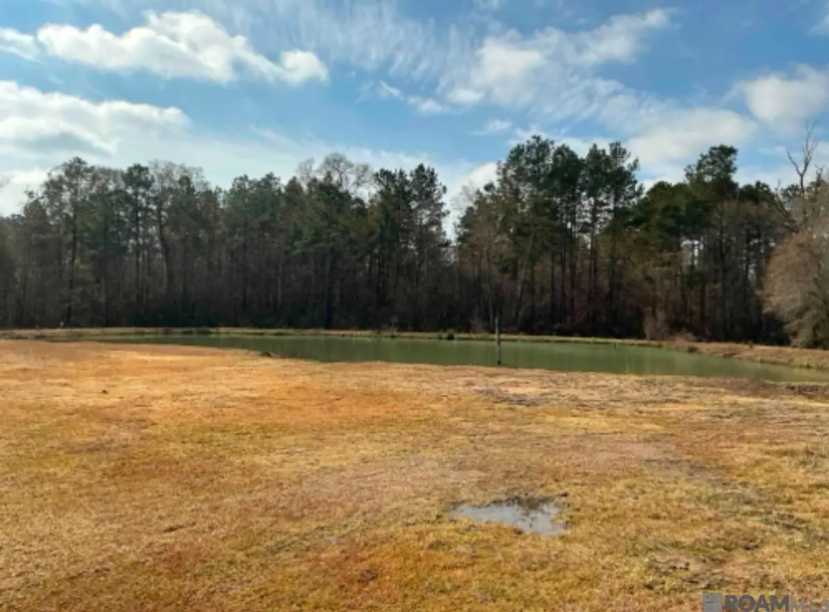 20229 Hwy 16, Denham Springs, LA 70726 - #1