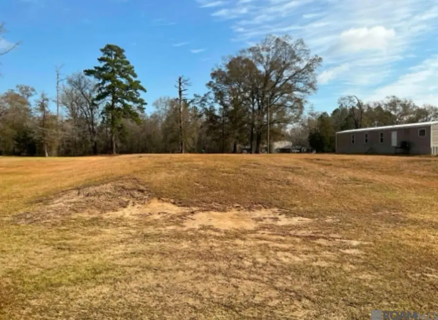 20229 Hwy 16, Denham Springs, LA 70726 - #3